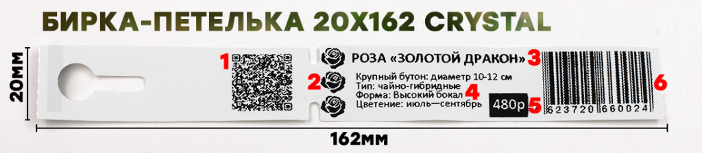 бирки-петельки 090724.png